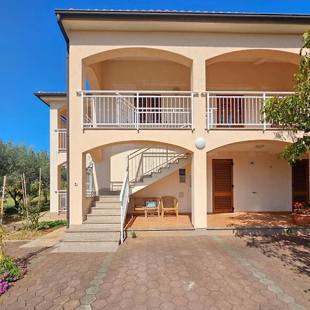 Viola Three Apartment Novigrad Istria Exterior foto