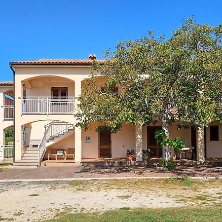Viola Three Apartment Novigrad Istria Exterior foto