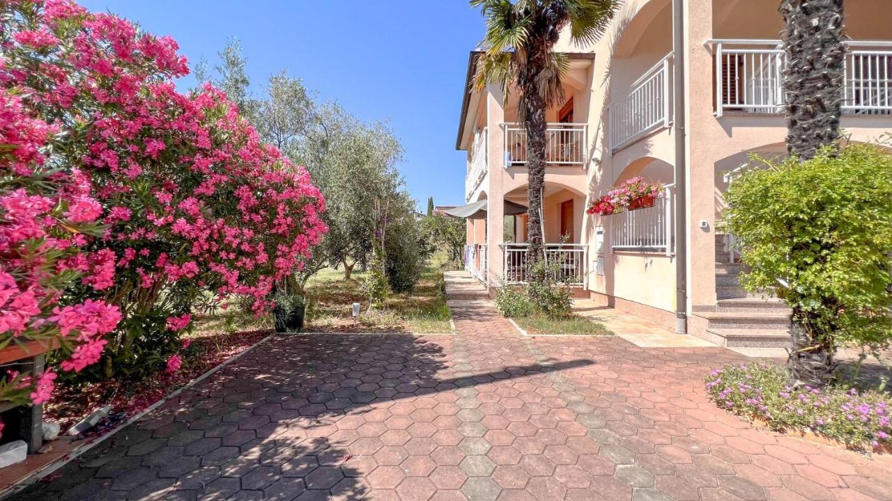 Viola Three Apartment Novigrad Istria Exterior foto
