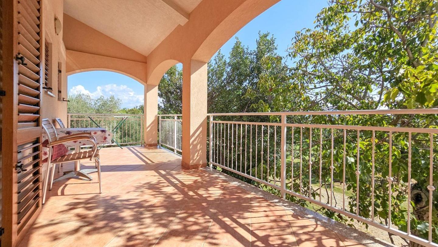 Viola Three Apartment Novigrad Istria Exterior foto